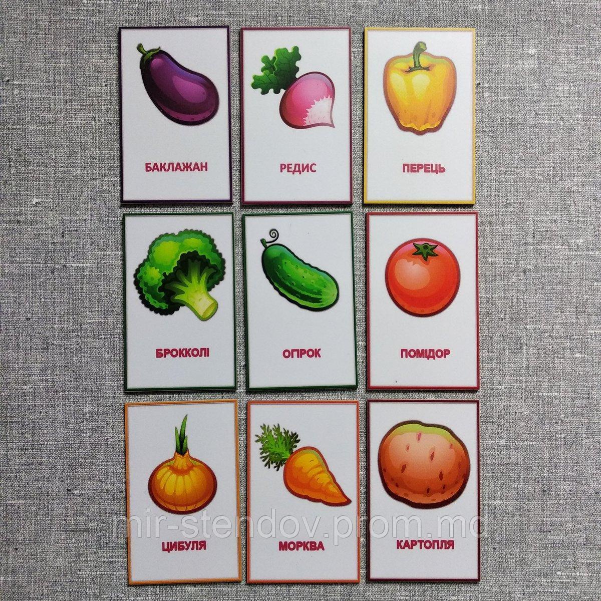 Набор обучающих магнитов Овощи, фото 1