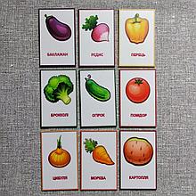 Набор обучающих магнитов Овощи