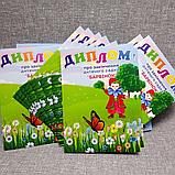 Диплом и медаль для выпускника детского сада "Барвинок" группа "Чудо-мир", фото 7