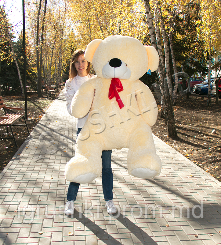 Медведь Томми 170 см кремовый - фото 1 - id-p10170934