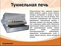 Одноярусная туннельная печь с сетчатым конвеером TU 2512 Kumkaya