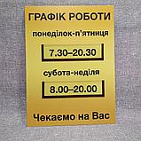 Табличка График работы с 3-мя карманчиками и вставками, фото 4