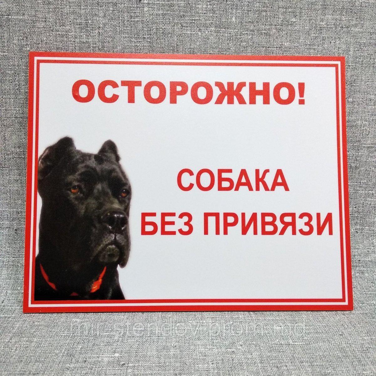 Табличка Осторожно, собака без привязи (Кане-корсо) - фото 1 - id-p9521768