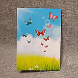 Диплом и медаль именная для выпускника д/с или группы "Волошка", "Радуга", "Солнышко", фото 7