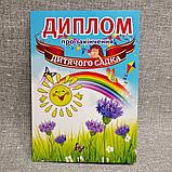 Диплом и медаль именная для выпускника д/с или группы "Волошка", "Радуга", "Солнышко", фото 5