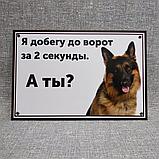 Табличка Осторожно, злая собака. Я добегу до ворот за 2 секунды, а ты, фото 2