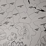 Розмальовка. Карта України "Тварини", фото 3