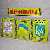 Стенд символика Украины, фото 2