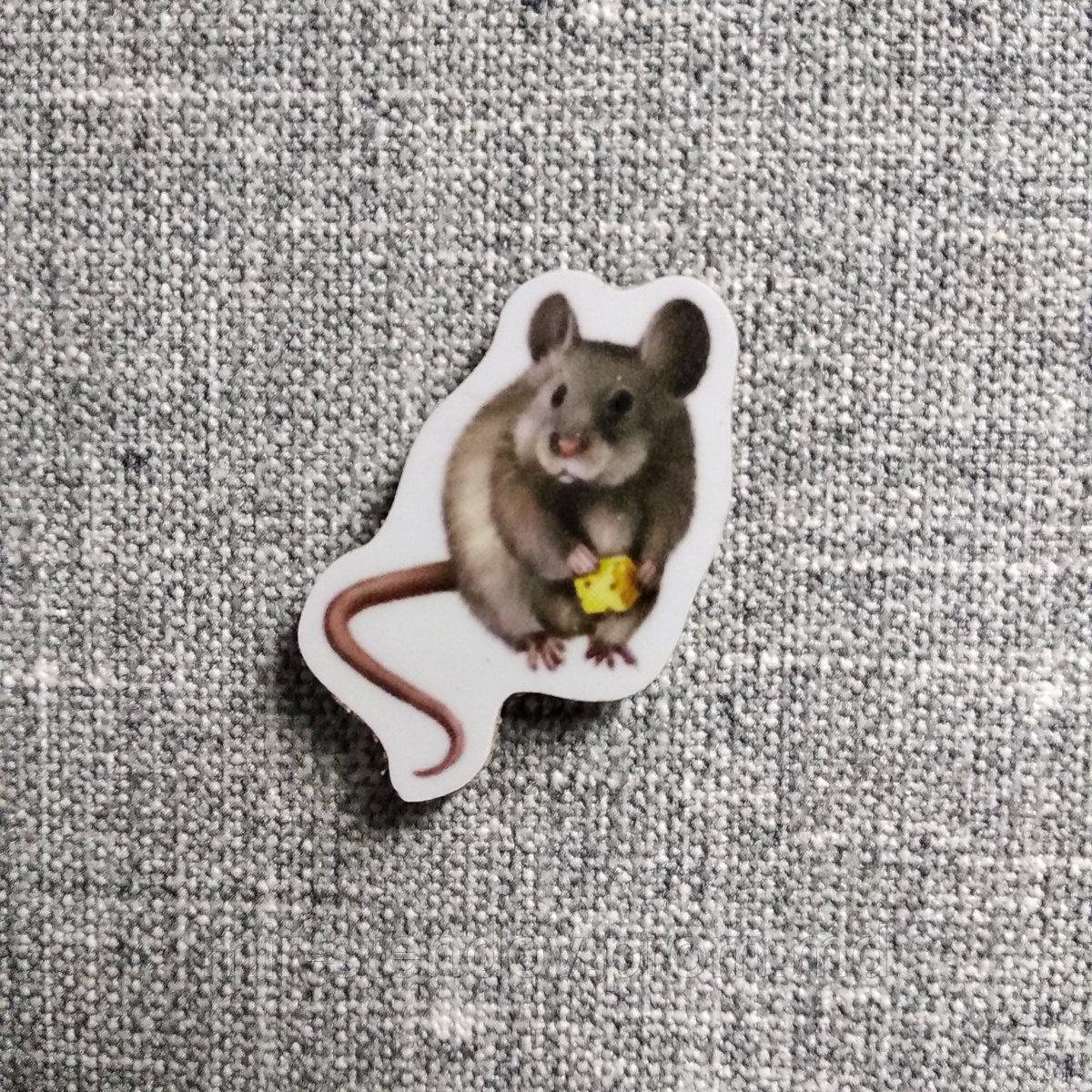 Мышь. Магнит обучающий, фото 1