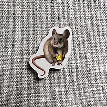 Мышь. Магнит обучающий