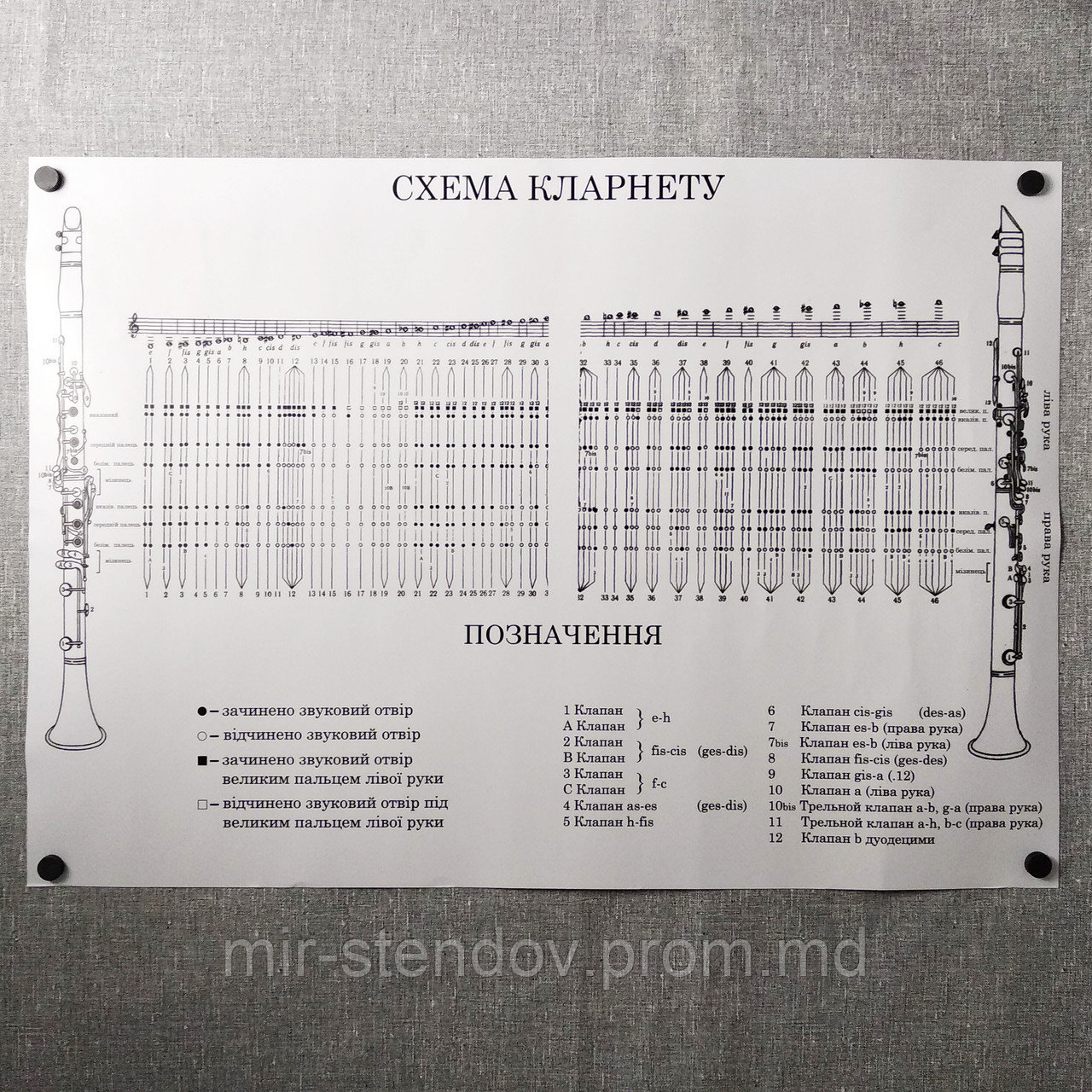 Плакат для кабинета музыки Схема кларнета (формат А-1) - фото 1 - id-p10206803