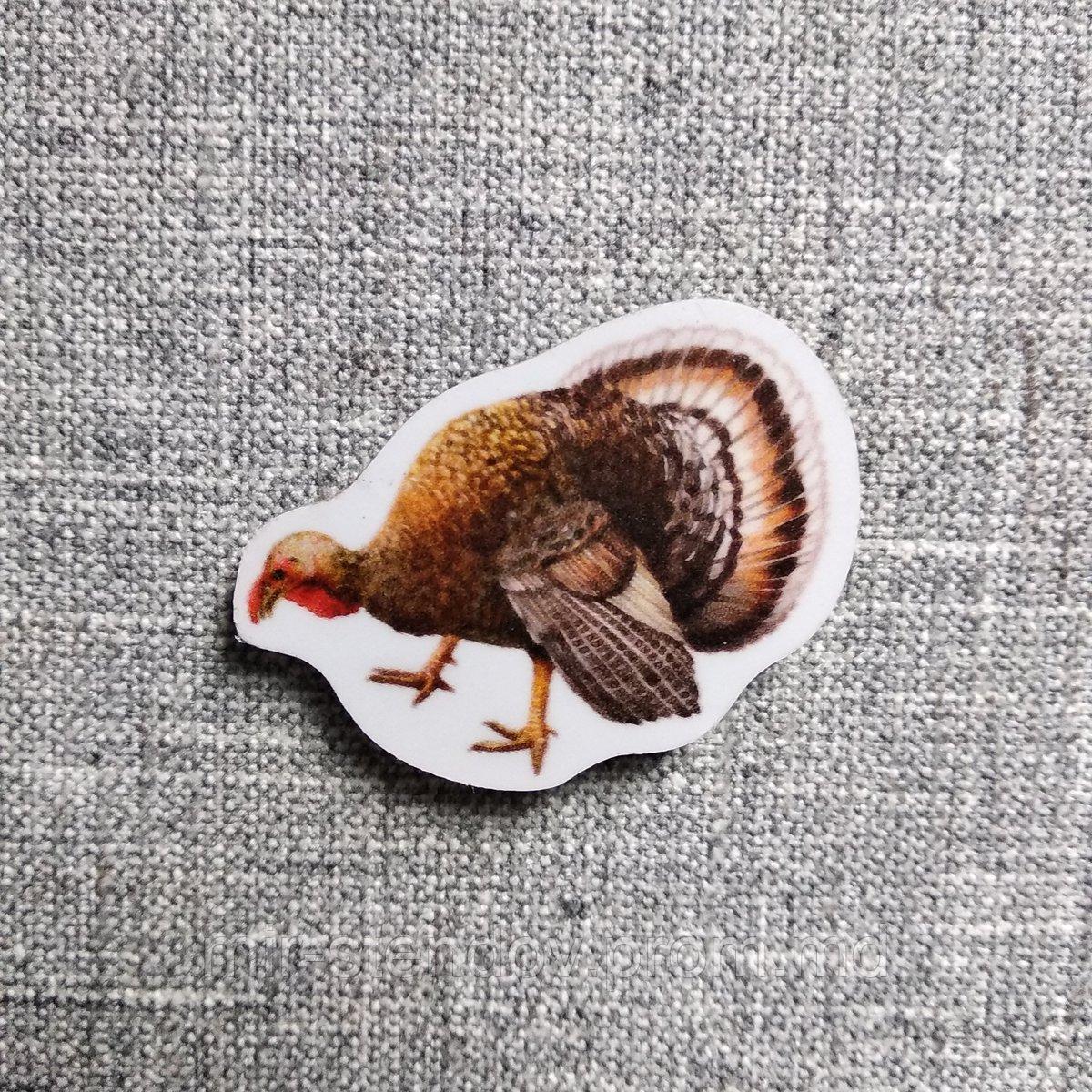 Индюк. Магнит обучающий, фото 1