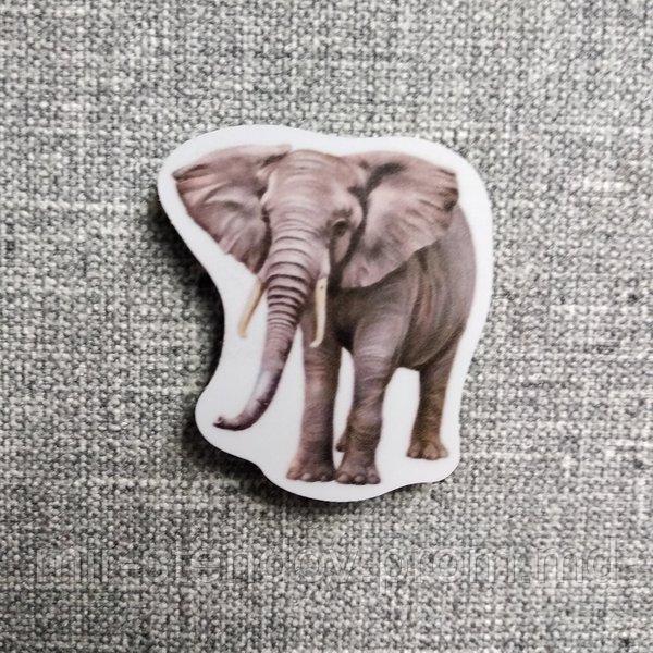 Слон. Магнит обучающий, фото 1