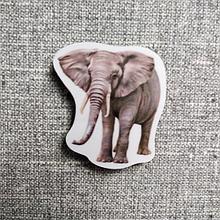 Слон. Магнит обучающий