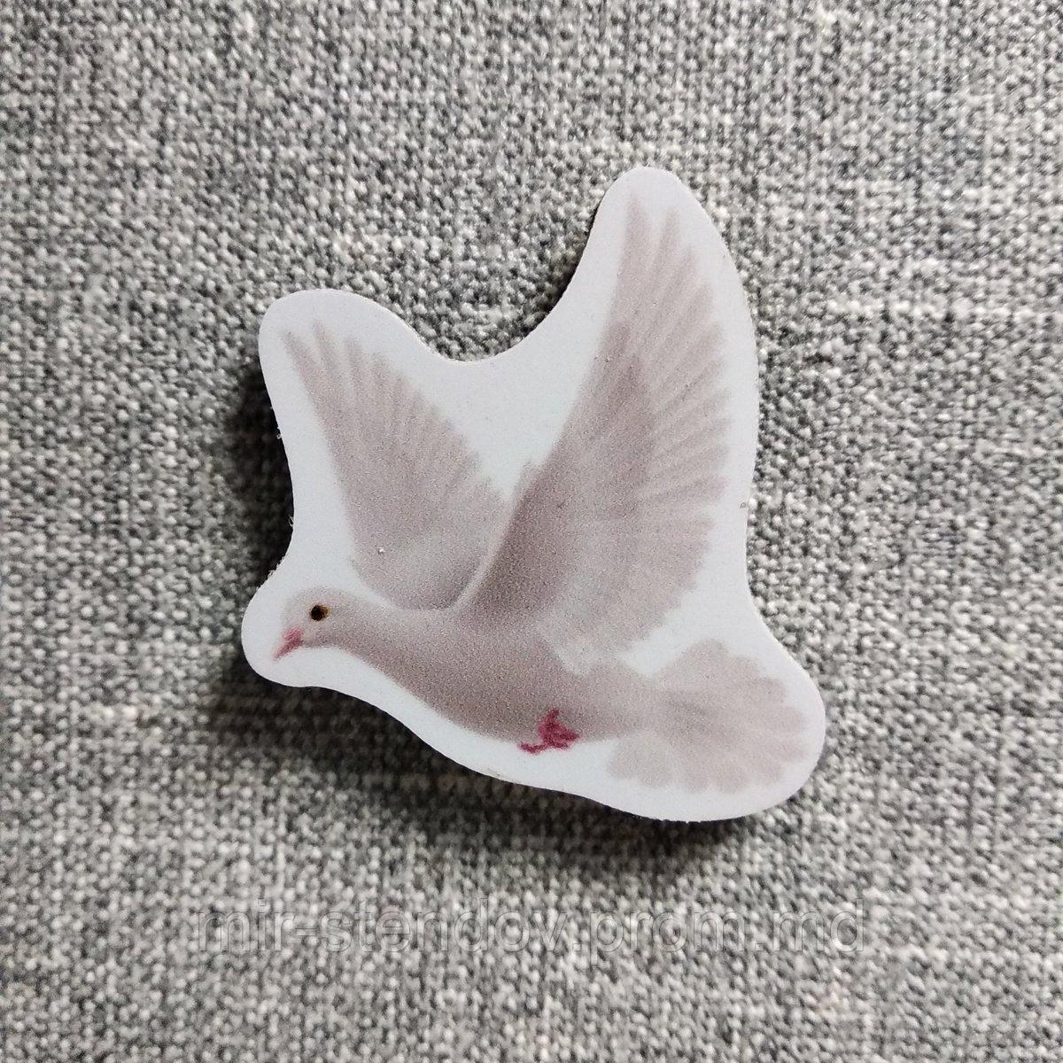 Голубь. Магнит обучающий, фото 1