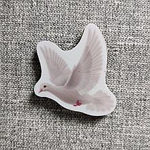 Голубь. Магнит обучающий