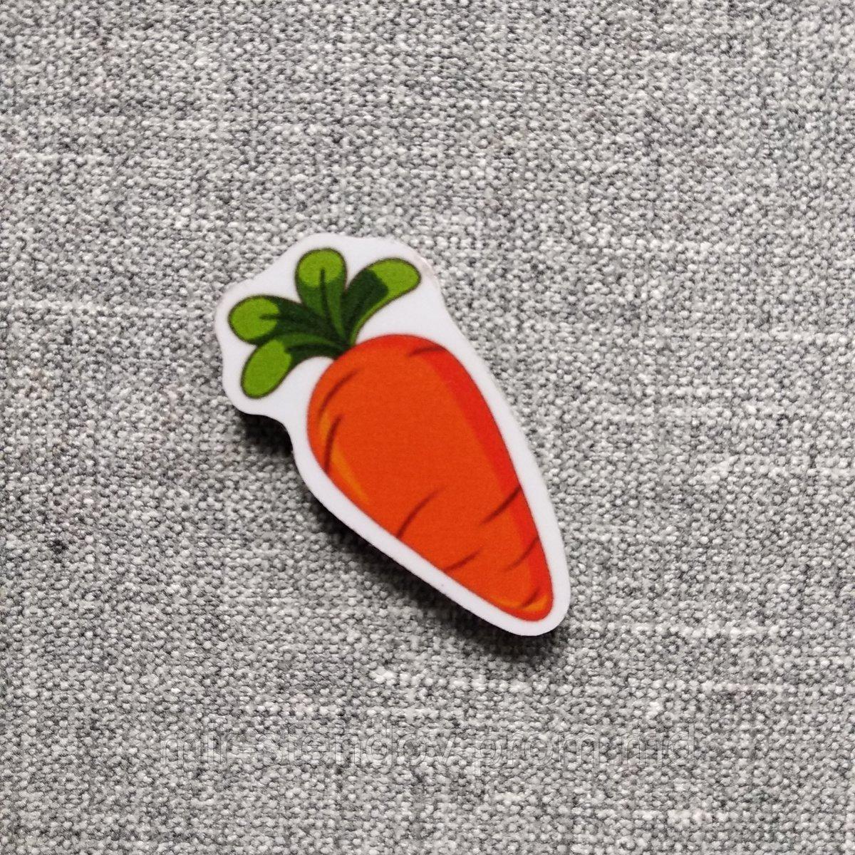 Морковь. Магнит обучающий, фото 1