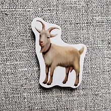 Коза. Магнит обучающий