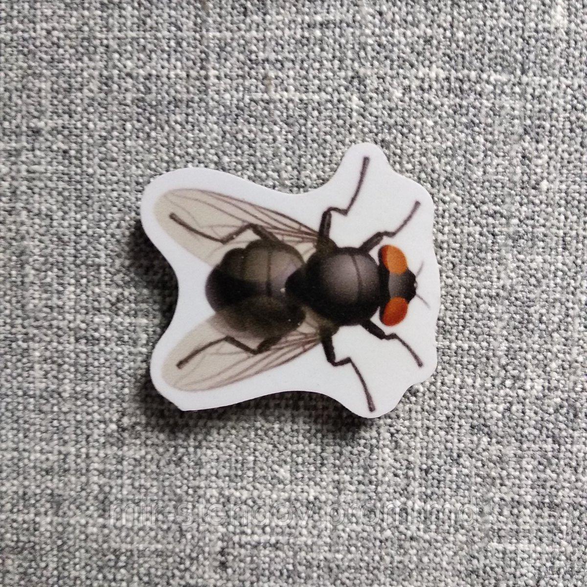 Муха. Магнит обучающий, фото 1