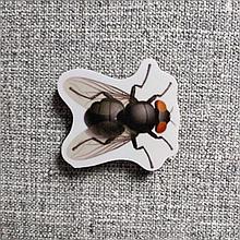 Муха. Магнит обучающий