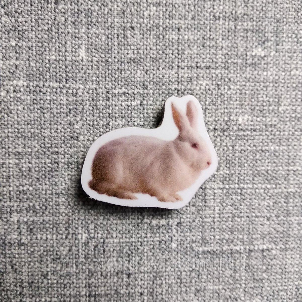 Кролик. Магнит обучающий - фото 1 - id-p4434364