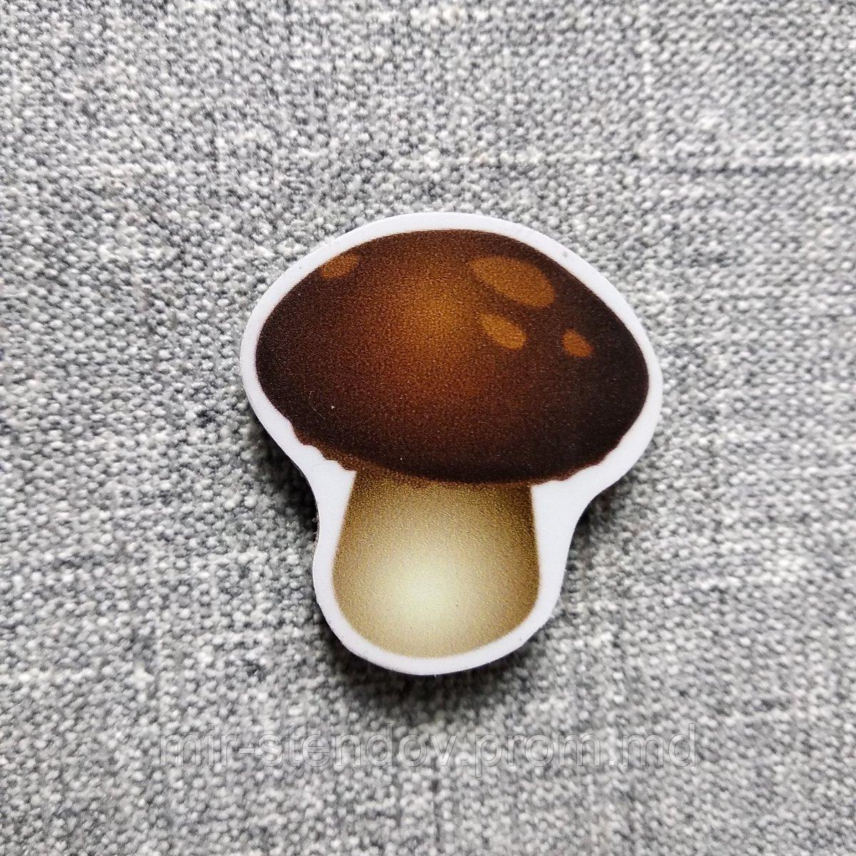 Гриб белый. Магнит обучающий, фото 1