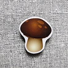 Гриб белый. Магнит обучающий