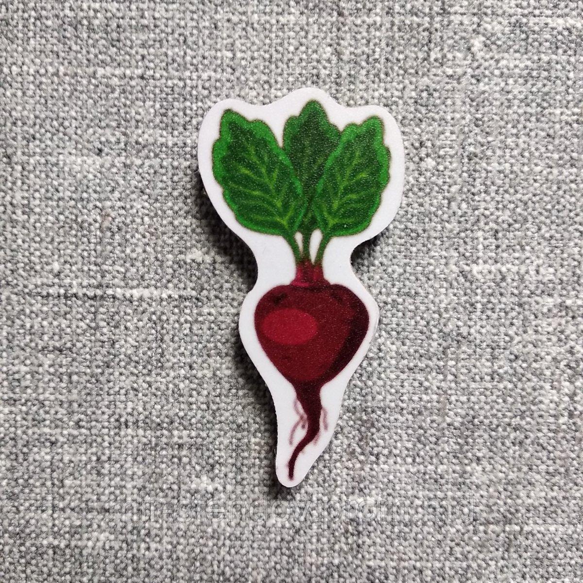 Буряк. Магнит обучающий, фото 1