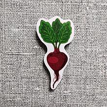 Буряк. Магнит обучающий