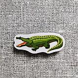 Крокодил. Магнит обучающий, фото 2