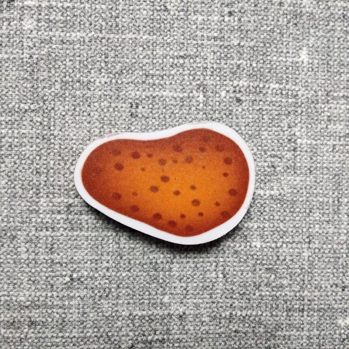 Картофель. Магнит обучающий, фото 1