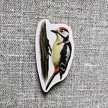 Дятел. Магнит обучающий