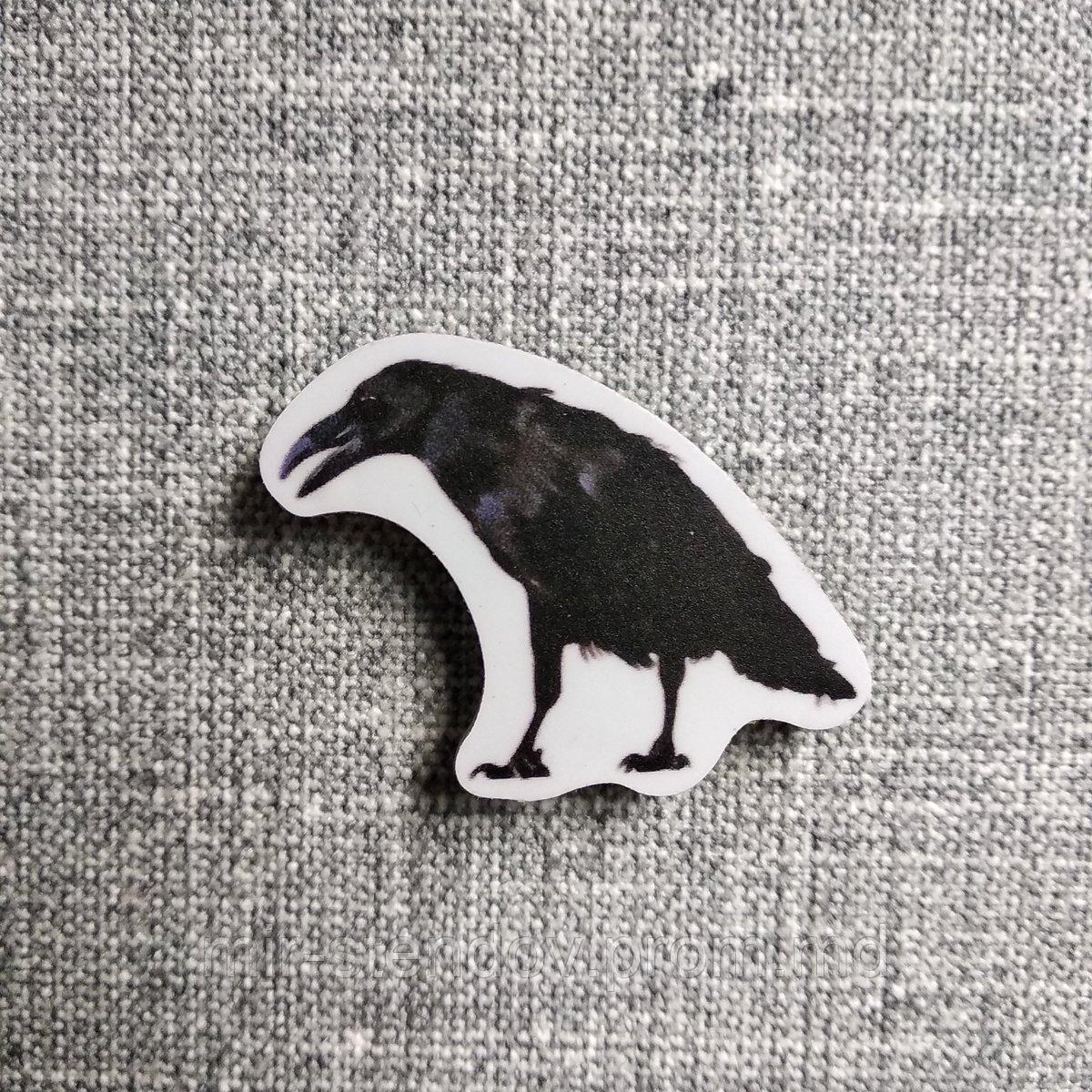 Ворона. Магнит обучающий, фото 1