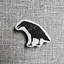 Ворона. Магнит обучающий