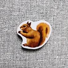 Белка. Магнит обучающий