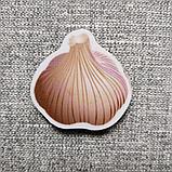 Чеснок. Магнит обучающий, фото 2