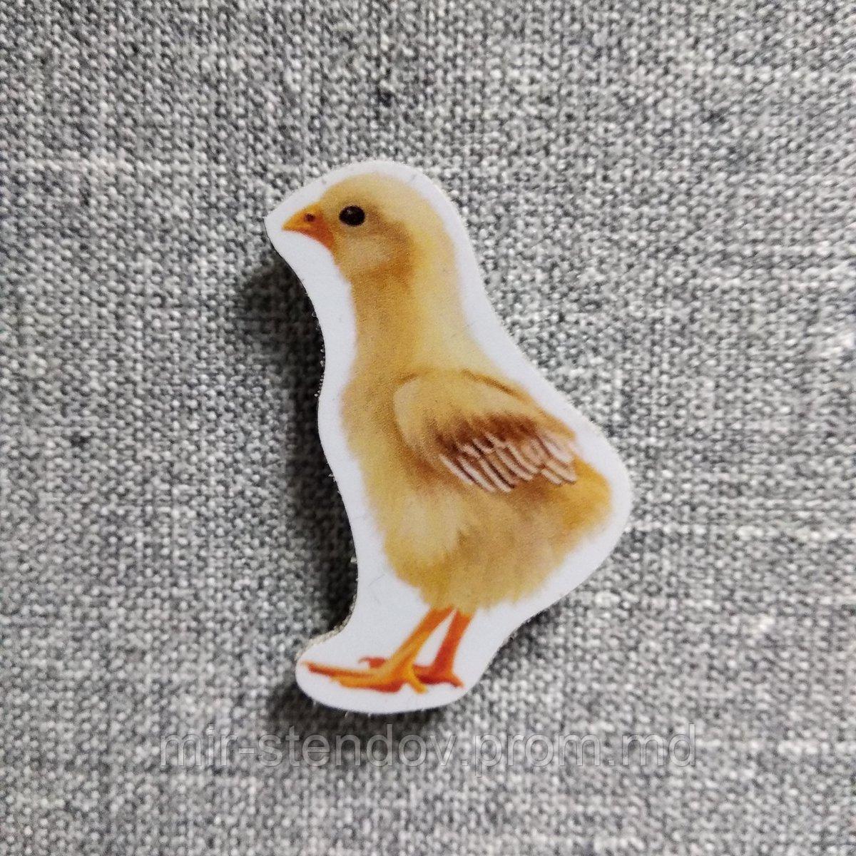 Цыплёнок. Магнит обучающий, фото 1