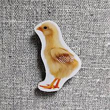 Цыплёнок. Магнит обучающий