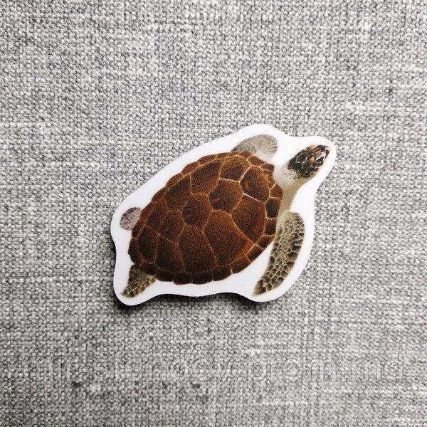 Черепаха. Магнит обучающий, фото 1