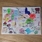 Розмальовка. Карта України "Тварини", фото 4