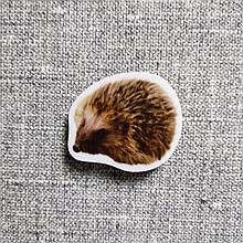 Ёж. Магнит обучающий