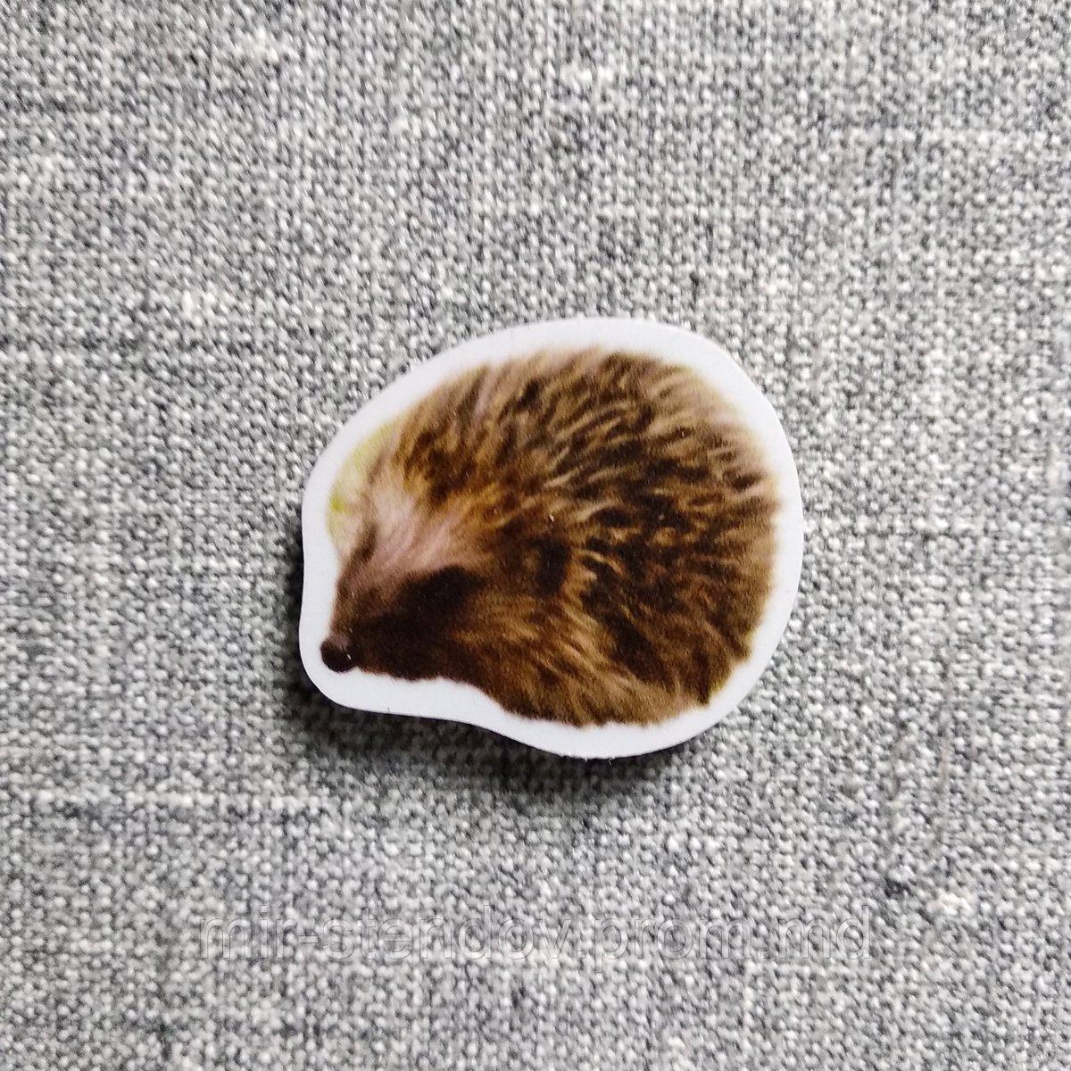 Ёж. Магнит обучающий, фото 1