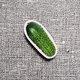 Огурец. Магнит обучающий, фото 2