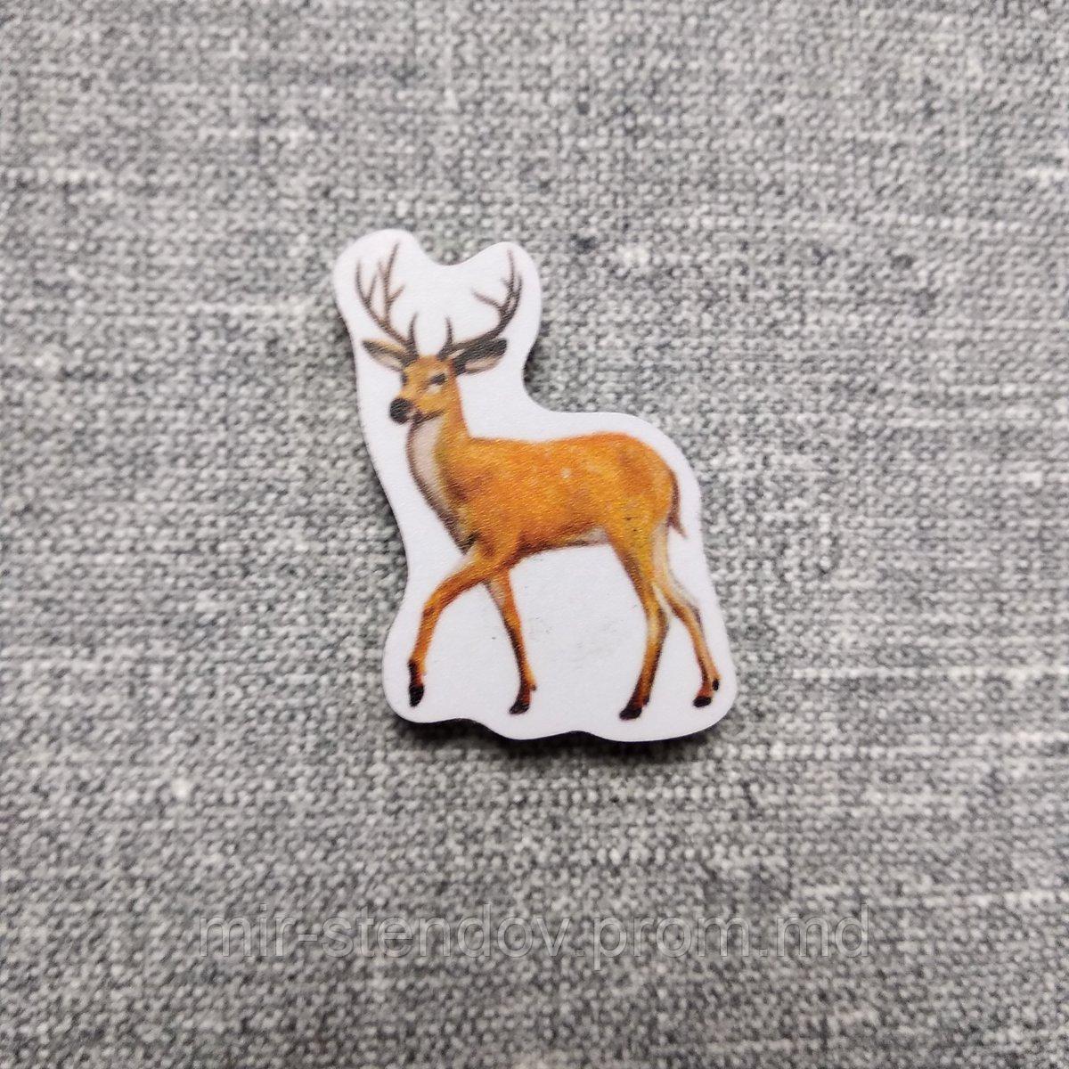 Олень. Магнит обучающий, фото 1