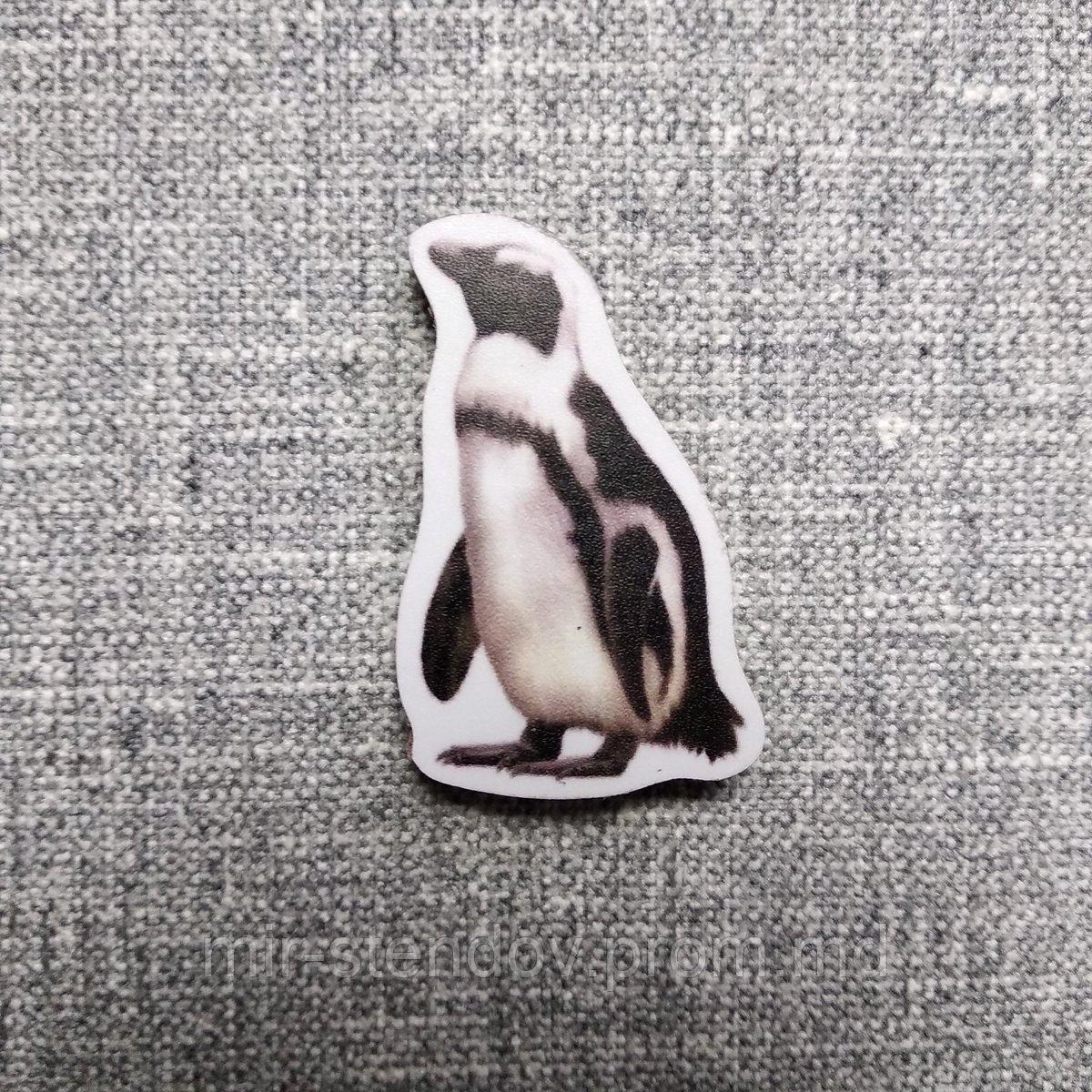 Пингвин. Магнит обучающий, фото 1