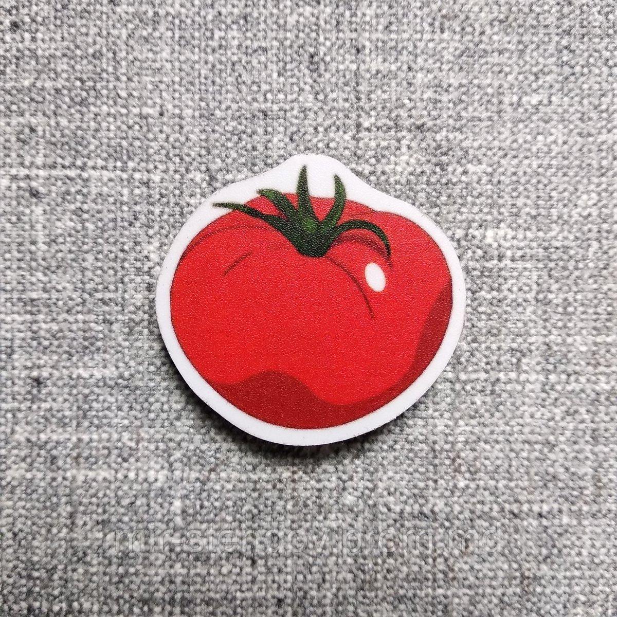 Помидор. Магнит обучающий, фото 1