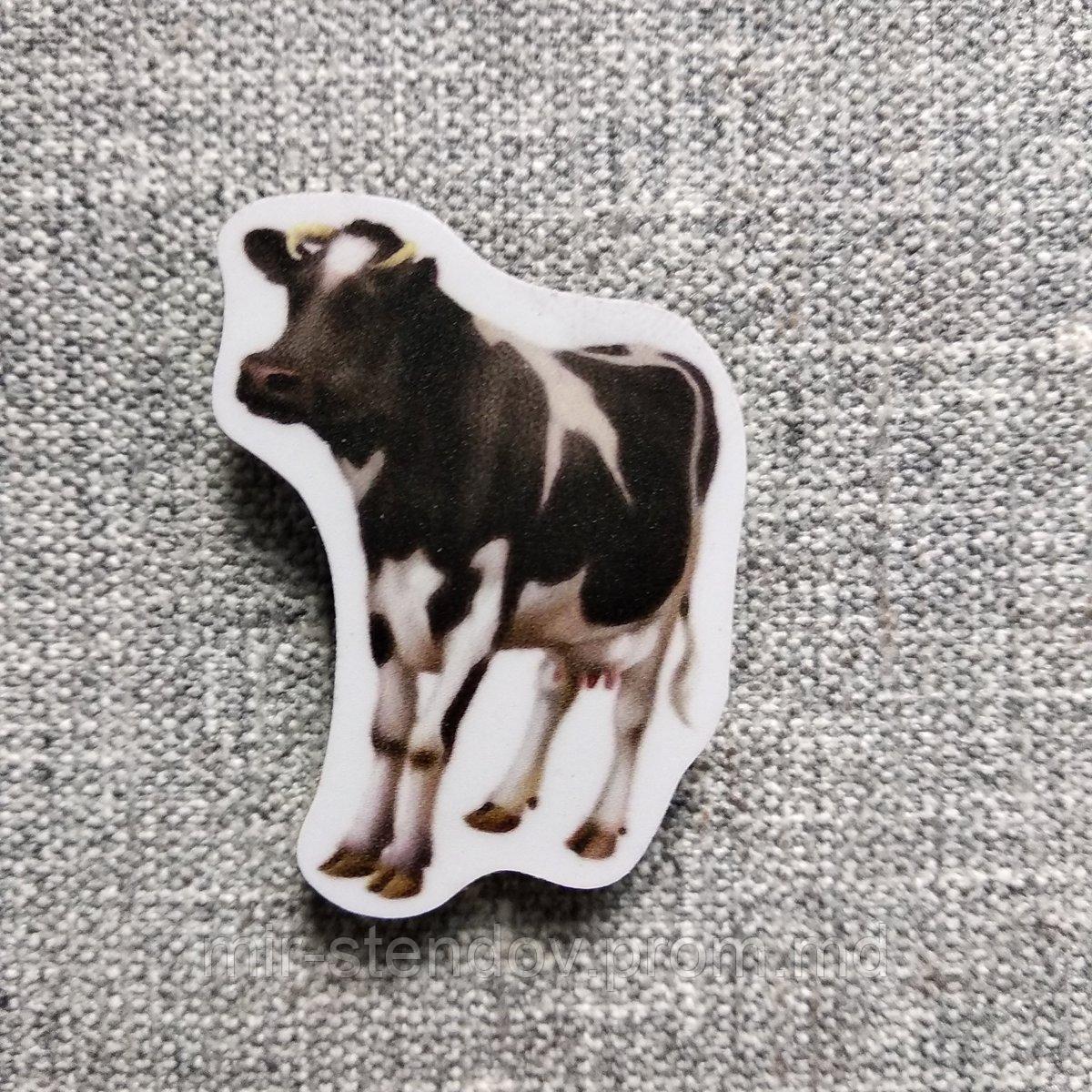 Корова. Магнит обучающий, фото 1