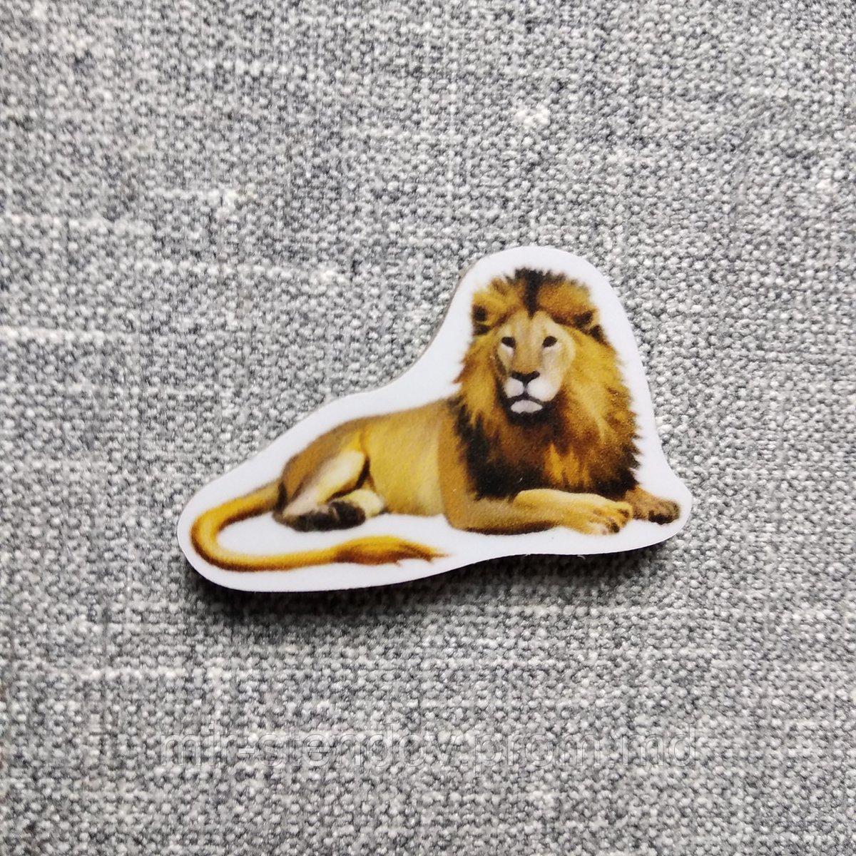 Лев. Магнит обучающий, фото 1