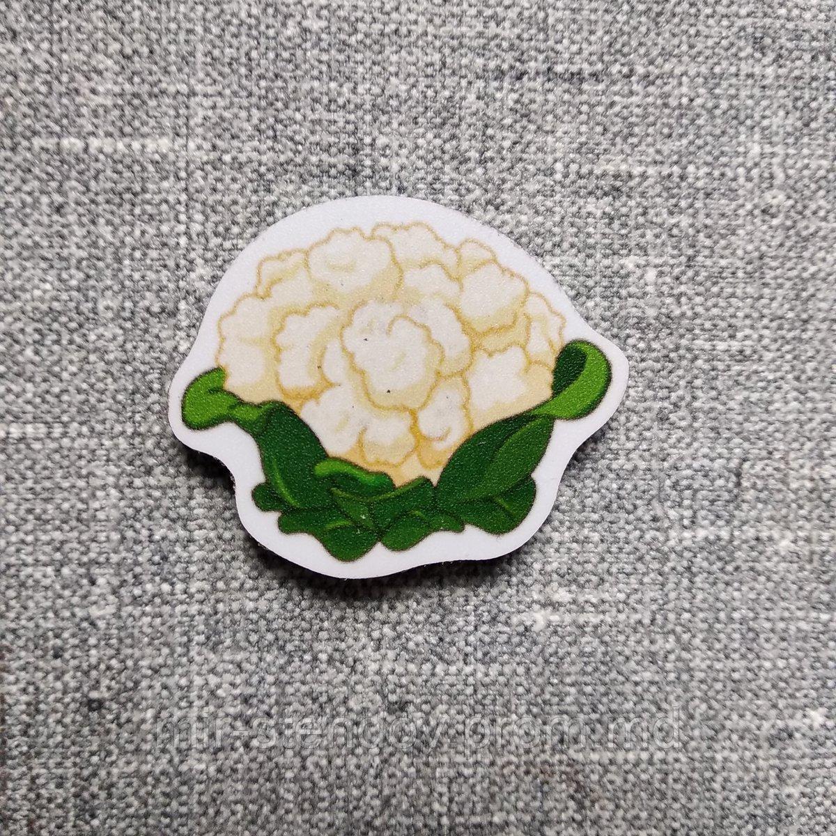 Цветная капуста. Магнит обучающий, фото 1