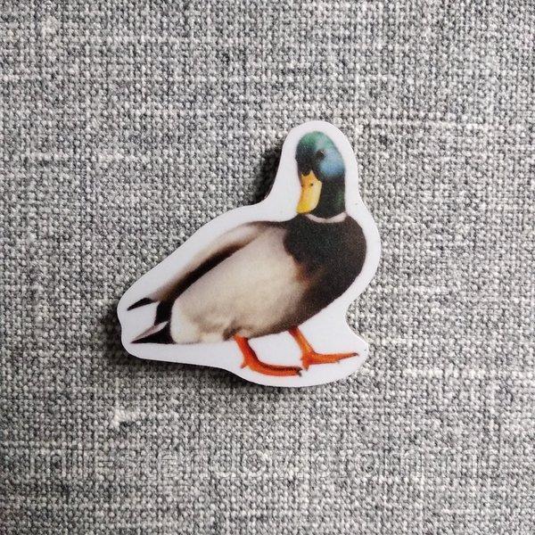 Селезень. Магнит обучающий, фото 1